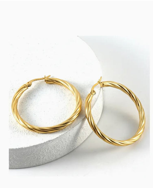 18K Gold Plated Stainless Steel Earring