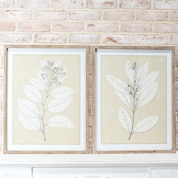 2 Assorted Floral Wall Art