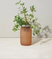 Garden Jar - Parsley