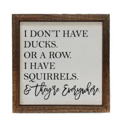 I Don't have Ducks Sign